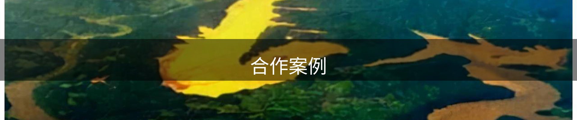 合作案例